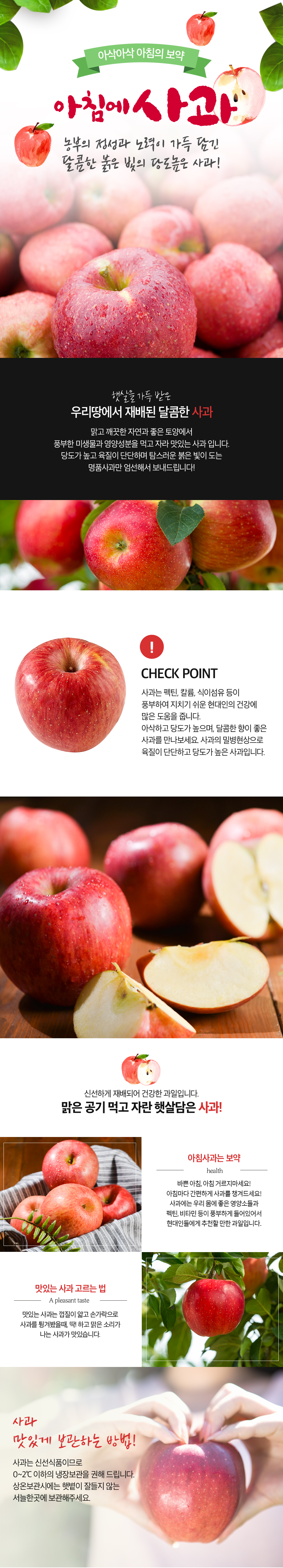 아침사과_shop1_232050.jpg