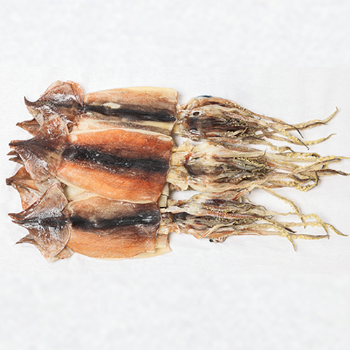 동해 반건조 오징어 (특대) 10마리